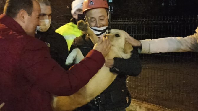 10 Gündür Aç Ve Susuz Balkonda Mahsur Kalan Köpek Kurtarıldı