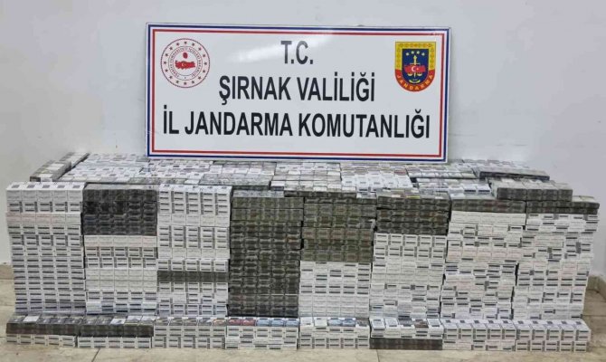 Şırnak’ta Kaçakçılık Ve Asayiş Operasyonu: 99 Gözaltı