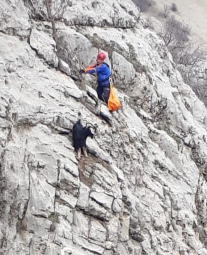 Kayalıklarda Mahsur Kalan Keçi Kurtarıldı