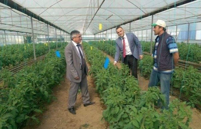 Simav’da Çiftçilere 5,5 Milyon Tl Bitkisel Üretim Desteklemesi Ödenecek