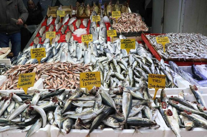 Samsun’da Balık Fiyatları Arttı