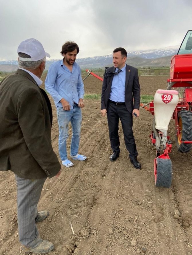 Erzincan’da Ayçiçeği Tohumları Toprakla Buluştu
