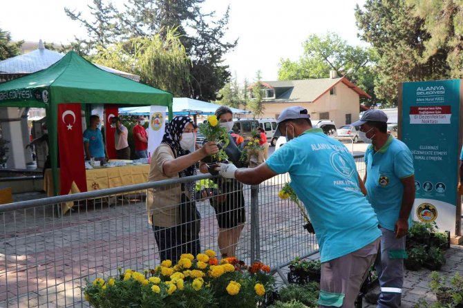 Alanya Belediyesi 29 Mezarlıkta 62 Bin Çiçek Dağıtacak