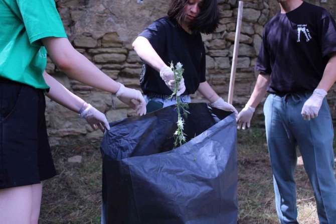 Çomü’lü Öğrenciler Sosyal Sorumluluk Projesiyle Çevre Temizliği Gerçekleştirdi