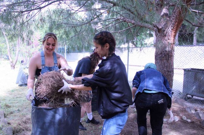 Çomü’lü Öğrenciler Sosyal Sorumluluk Projesiyle Çevre Temizliği Gerçekleştirdi