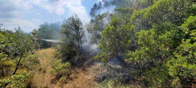 Manisa’da Çıkan Orman Yangınında 1 Hektar Alan Zarar Gördü