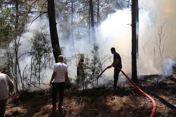 Muğla’da Orman Yangını