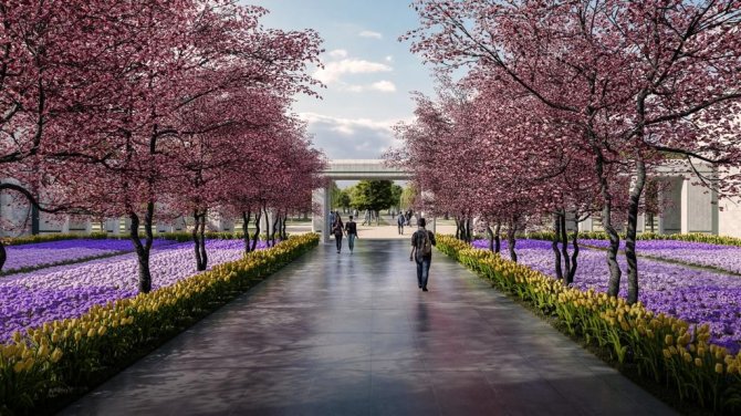 Bakan Kurum: “İ̇stanbul Atatürk Havalimanı’nda Yapacağımız Türkiye’nin En Büyük Millet Bahçesi, İlk Fidanlarıyla Buluşmak İçin Gün Sayıyor”