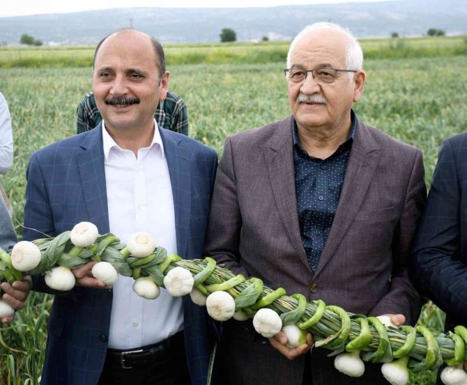 Milletvekili Erdoğan Çiftçiler Gününü Tarlada Kutladı