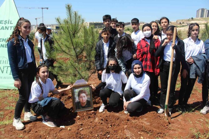 Gaziantep’te Lise Öğrencilerinden Hatıra Ormanı