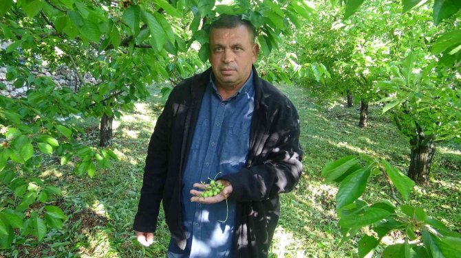 Karaman’da Dolu Yağışı Tarım Arazilerine Zarar Verdi