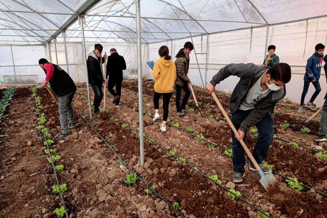 Mardin’de Meslek Lisesinde Uygulamalı Tarım Eğitimi