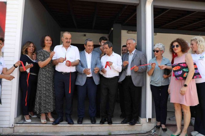Mudanya Belediyesi Yüzme Havuzu Yenilenen Yüzüyle Açıldı