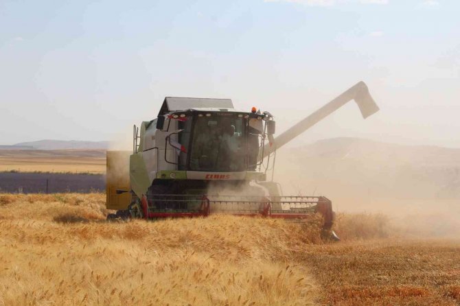 Siirt’te Hasattaki Bereketi Gören Çiftçi, ‘Buğday Banyosu’ Yaptı