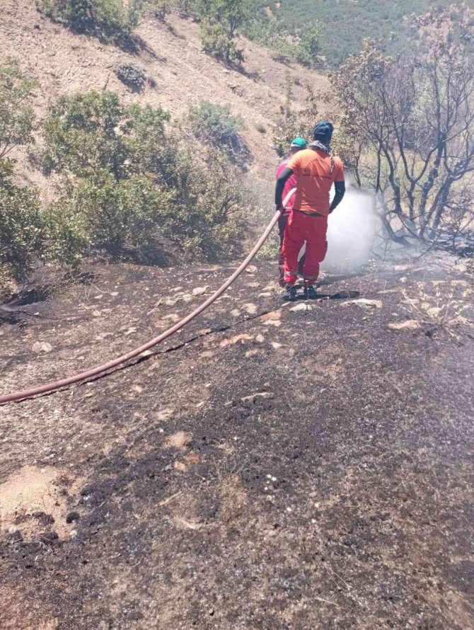 Bingöl’de Orman Yangını Büyümeden Söndürüldü