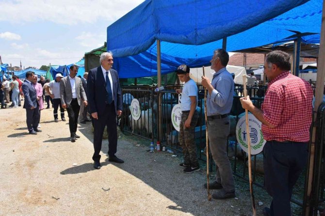 Başkan Bakkalcıoğlu, Kurban Bayramı Öncesinde Hayvan Pazarını Ziyaret Etti