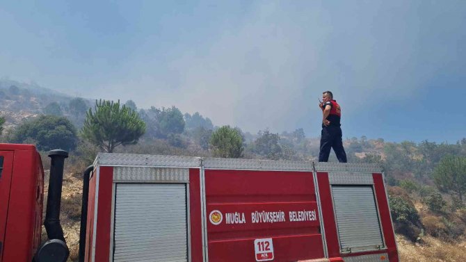 Bodrum’da Makilik Alanda Yangın Çıktı