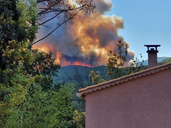 Fransa’da Orman Yangını: 620 Hektarlık Alan Kül Oldu