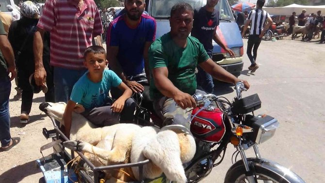 Kilis’te Vatandaşlar Kurbanlıklarını Motosikletle Taşıdı