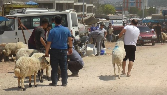 Gaziantep’teki Kurban Pazarlarında Arife Günü Yoğunluğu