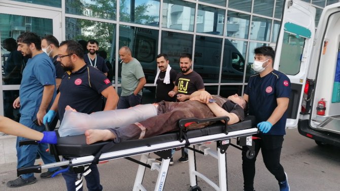 Kocaeli’de Bayramın İlk Günü 271 Kişi Kurbanlık Keserken Yaralandı
