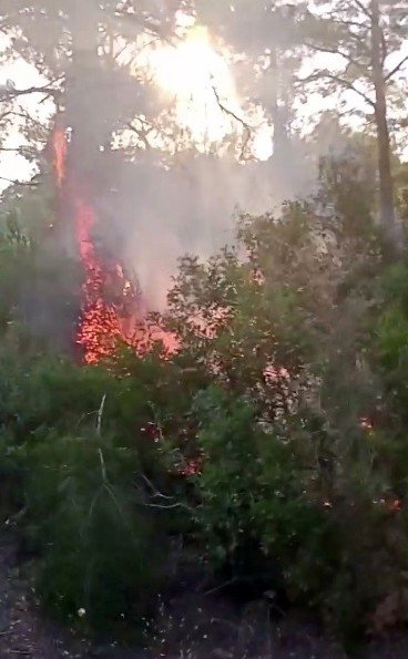 Manavgat’ta Ormanlık Alanda Korkutan Yangın