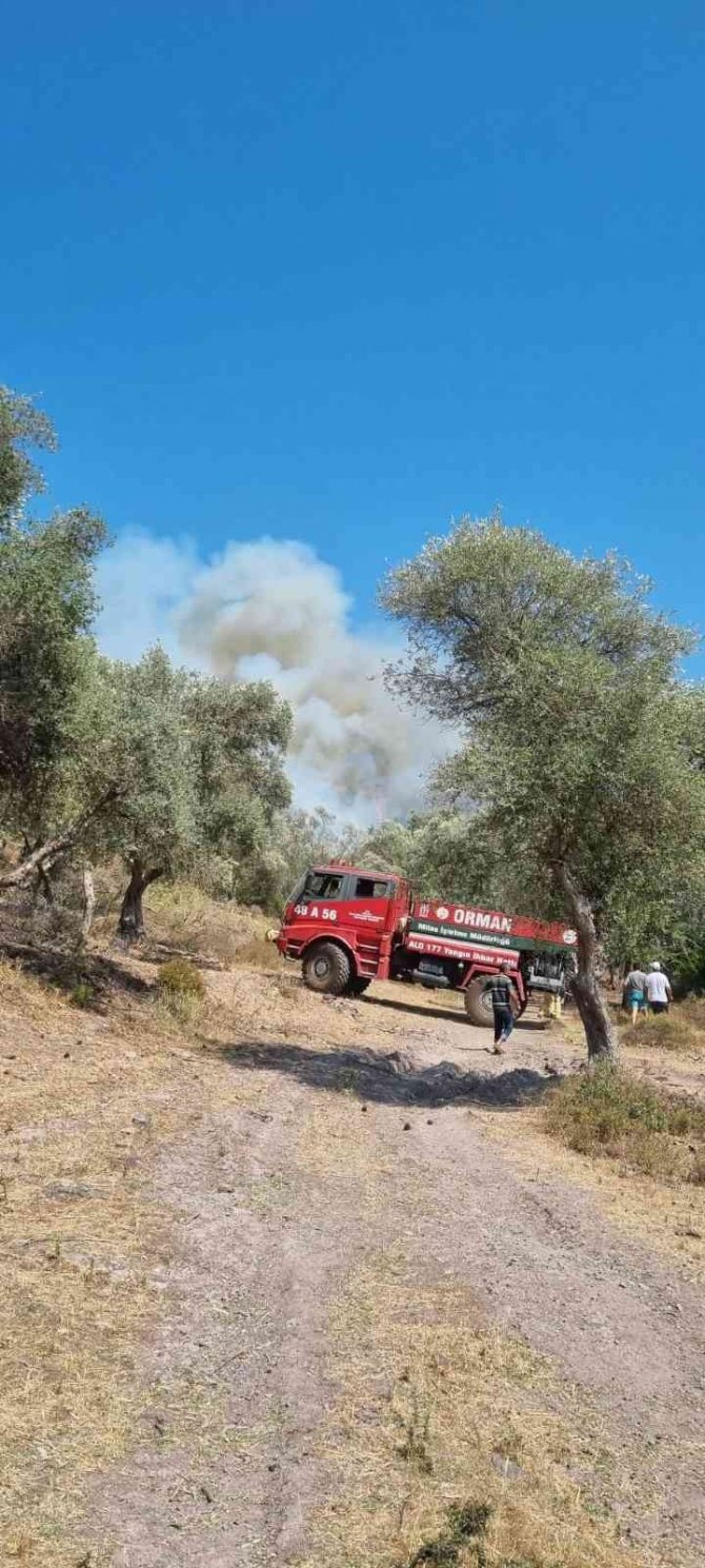 Bodrum’daki Orman Yangını Kontrol Altına Alındı