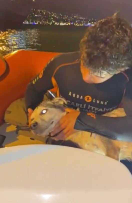Denizde Mahsur Kalan Köpeğe İtfaiyeden Kurtarma Operasyonu