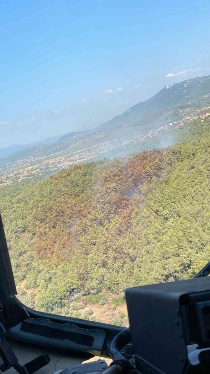 Bodrum’daki Orman Yangını Kontrol Altına Alındı