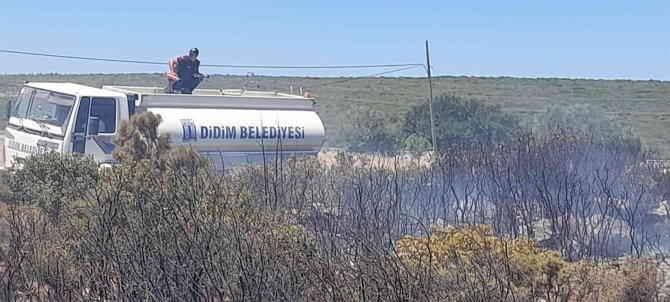 Didim’de Orman Yangını Faciasının Önüne Belediye Ekipleri Geçti