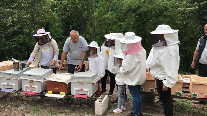 "Arı Gibi Çalışkan" Kadınlar Arı Üretimi Eğitiminde