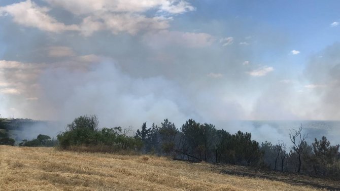 Edirne’de Orman Yangını Başladı, Müdahale Ediliyor