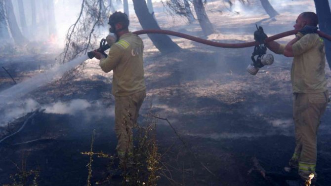 Edirne’de Orman Yangınına Müdahale Sürüyor