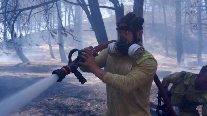 Edirne’de Orman Yangınına Müdahale Sürüyor