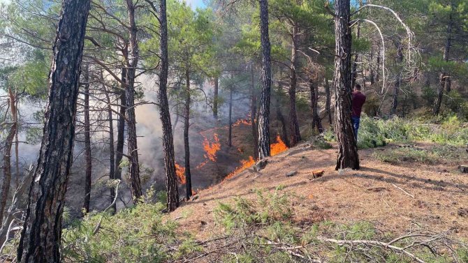 Gediz’de Orman Yangını; 4 Dönümlük Ormanlık Alan Yandı