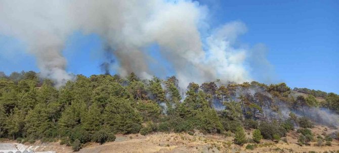 Antalya’da Çıkan Orman Yangını Kontrol Altına Alındı