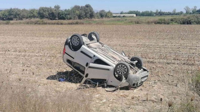 Virajı Alamayan Otomobil Mısır Tarlasına Uçtu: 1 Yaralı