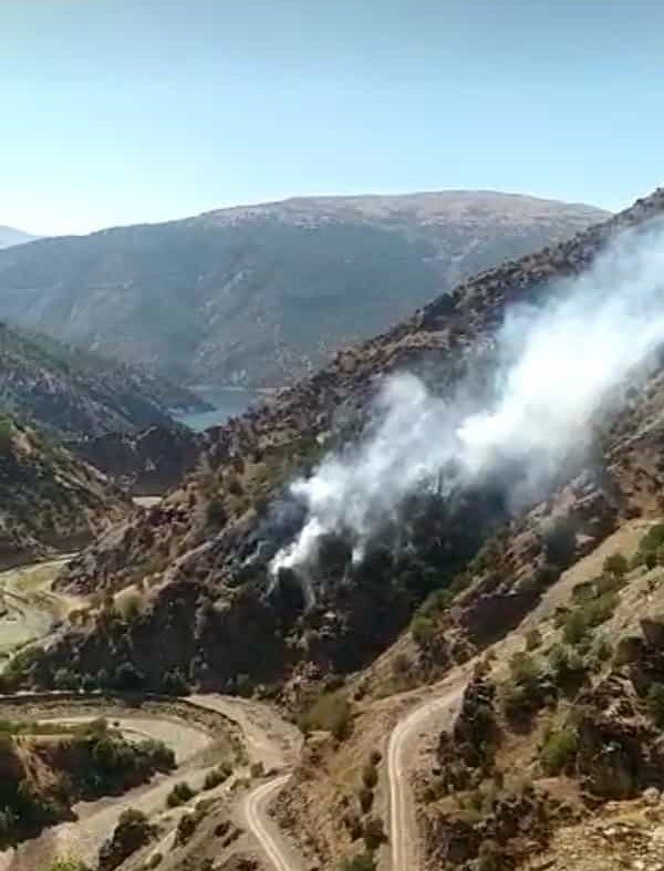Elazığ’daki Orman Yangınına Yönelik Müdahale Sürüyor