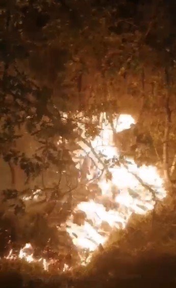 Kastamonu’da Orman Yangını: Ekiplerin Hızlı Müdahalesi İle Söndürüldü