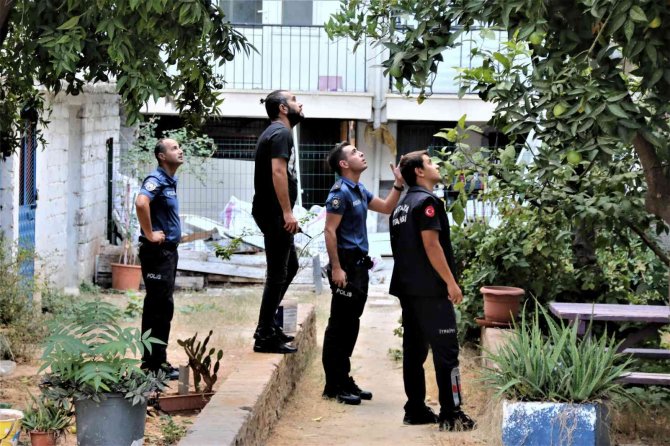 Polislere 2 Saat Ecel Teri Döktürdü, Dondurma Yiyerek İzleyenleri Görünce “Size İnat Atlamayacağım” Dedi