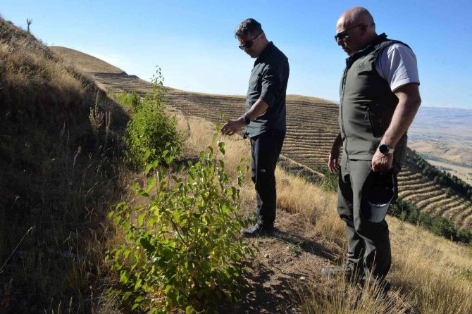 Erzurum’da 2 Bin 300 Rakımdaki Ekoturizm Alanı Hizmete Açıldı