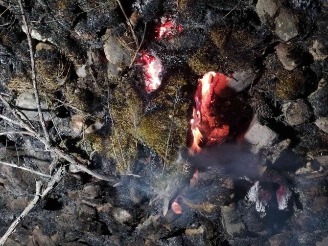 Uşak’ta Çıkan Orman Yangını Kontrol Altına Alındı