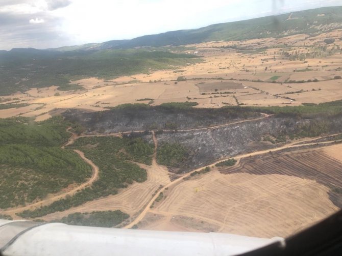 Gelibolu’daki Orman Yangını Kontrol Altına Alındı