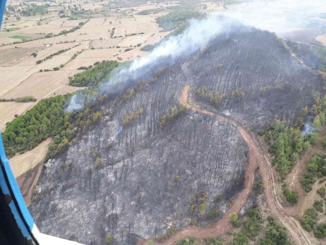Gelibolu’daki Orman Yangını Kontrol Altına Alındı