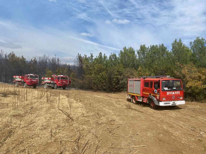 Tekirdağ’da Orman Yangını Söndürüldü