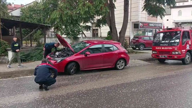 İ̇natçı Kedi Ekipleri Çok Uğraştırdı