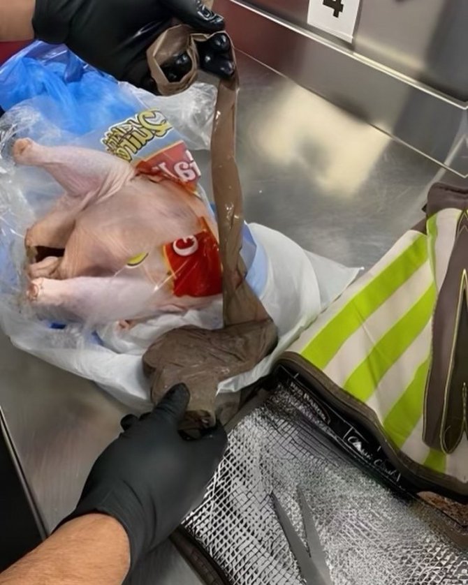 Abd’de Havaalanında Çiğ Tavuğa Gizlenmiş Silah Bulundu