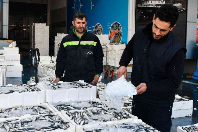 Ankaralı En Çok Palamut, Kavun Ve Domates Tüketti