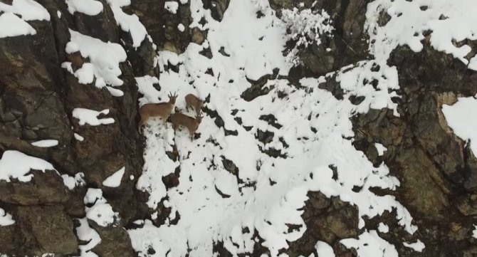 Doğu Anadolu’nun Yüksek Kesimlerinde Kar