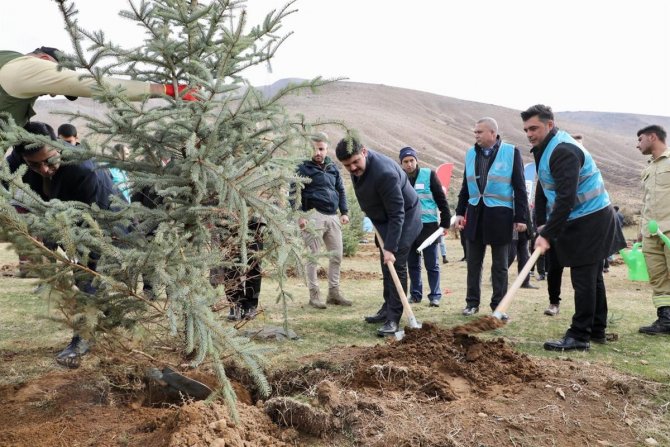 Bitlis’te 3 Bin Fidan Dikildi